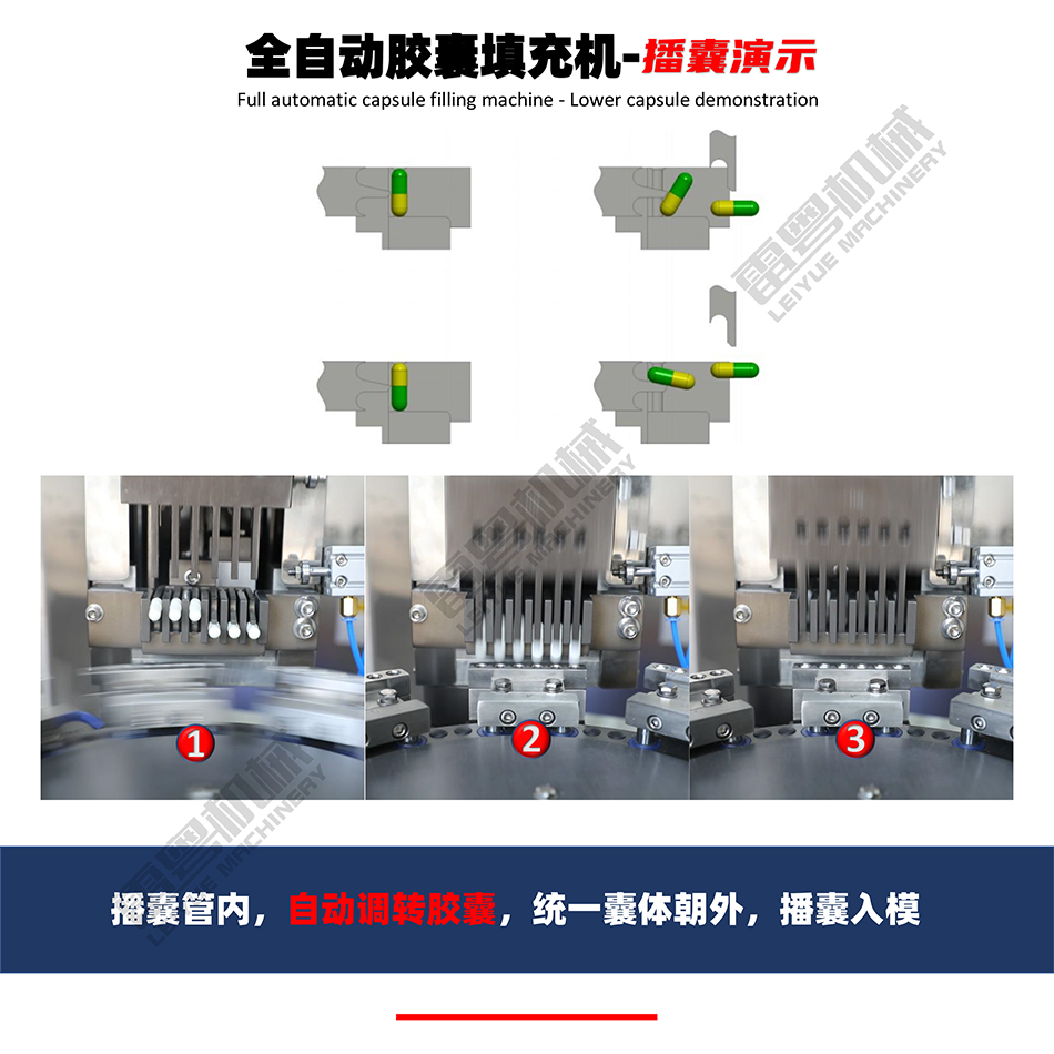 全自動膠囊填充機-小金-7.jpg
